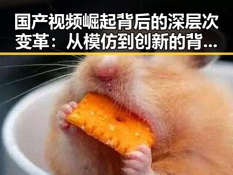 国产视频崛起背后的深层次变革:从模仿到创新的背景解读